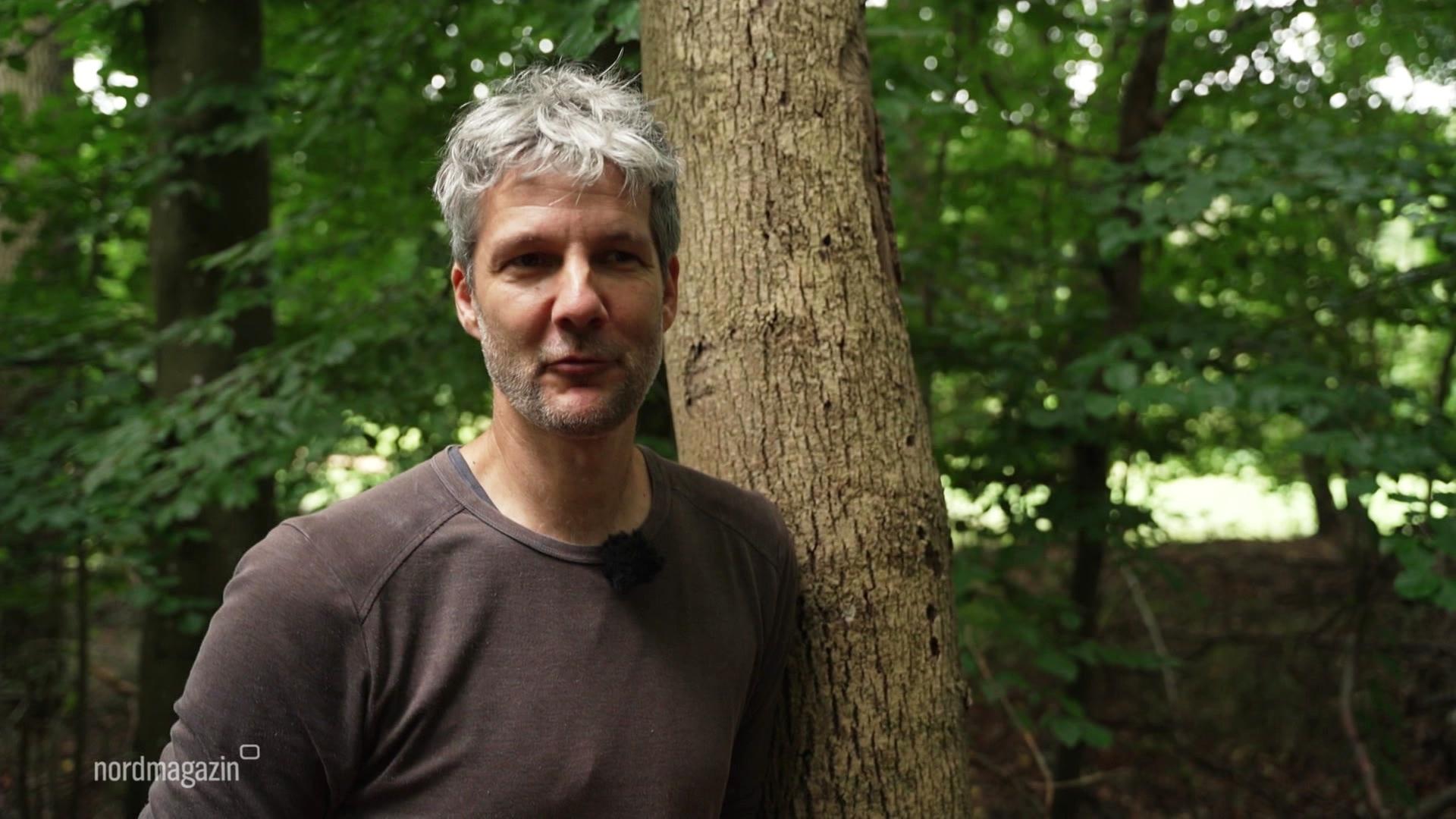 "Land Art": Roman Schöne macht Kunst aus Natur