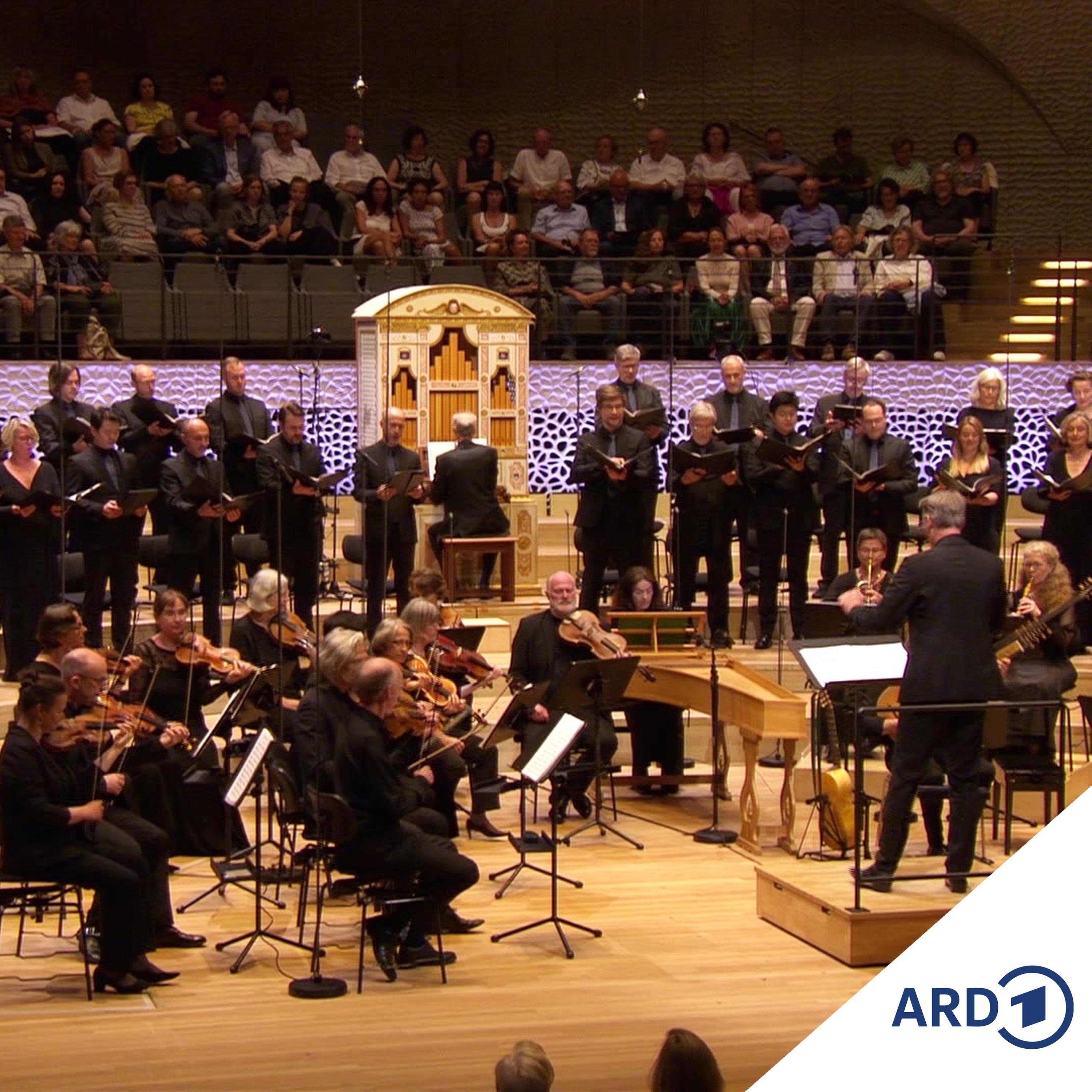 Italienischer Barock in der Elbphilharmonie episode artwork