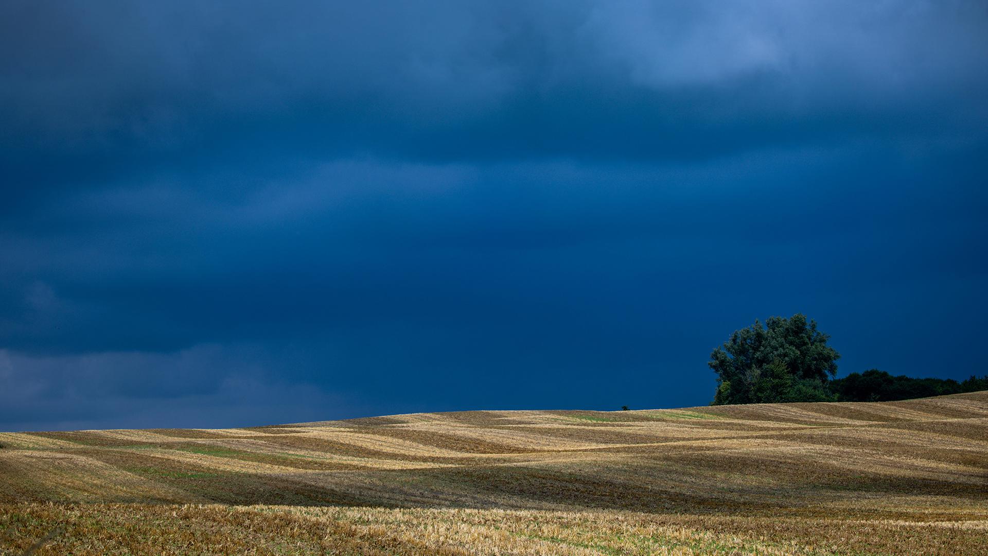 Dunkle Regenwolken verdunkeln den Himmel über einem abgeernteten Getreidefeld. | Jens Büttner/picture alliance/dpa