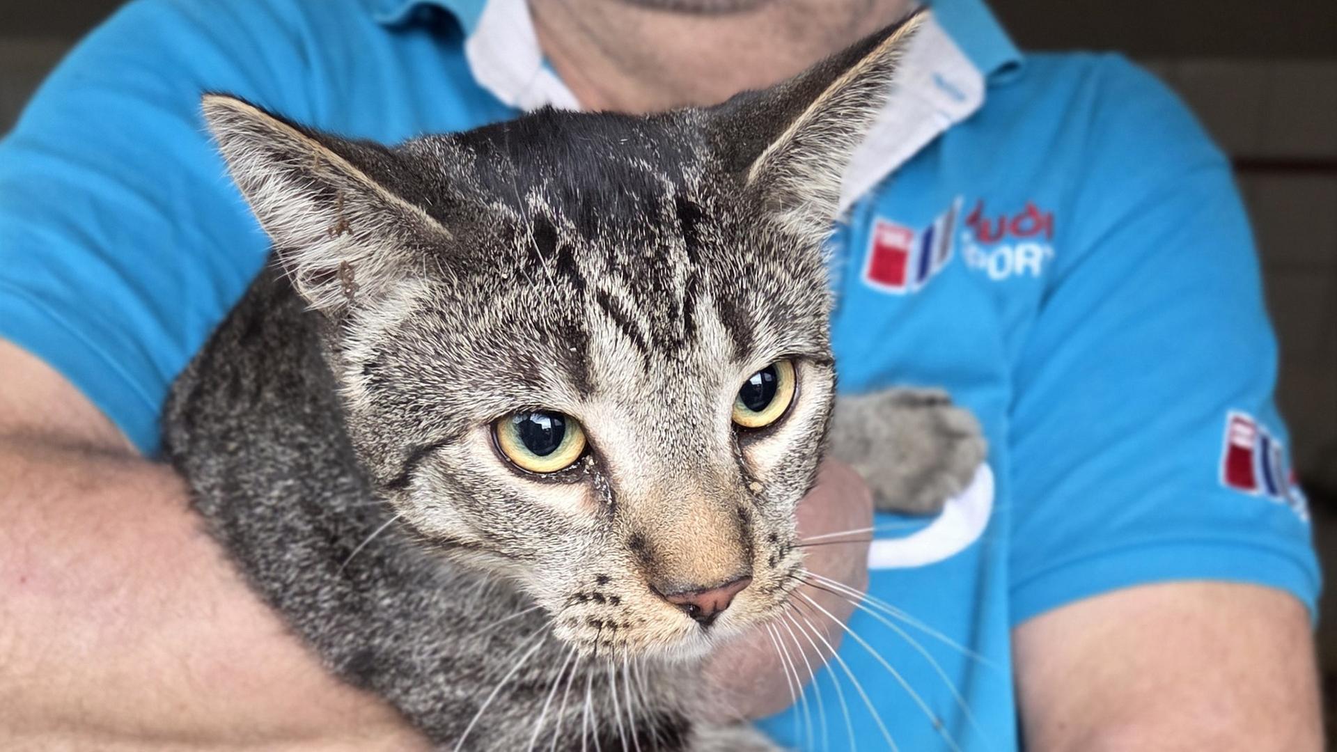 Derm Besitzer hält seine Katze nach dem Einsatz auf den Armen. | Freiw. Feuerwehren Visselhövede, Jonas Hermonies