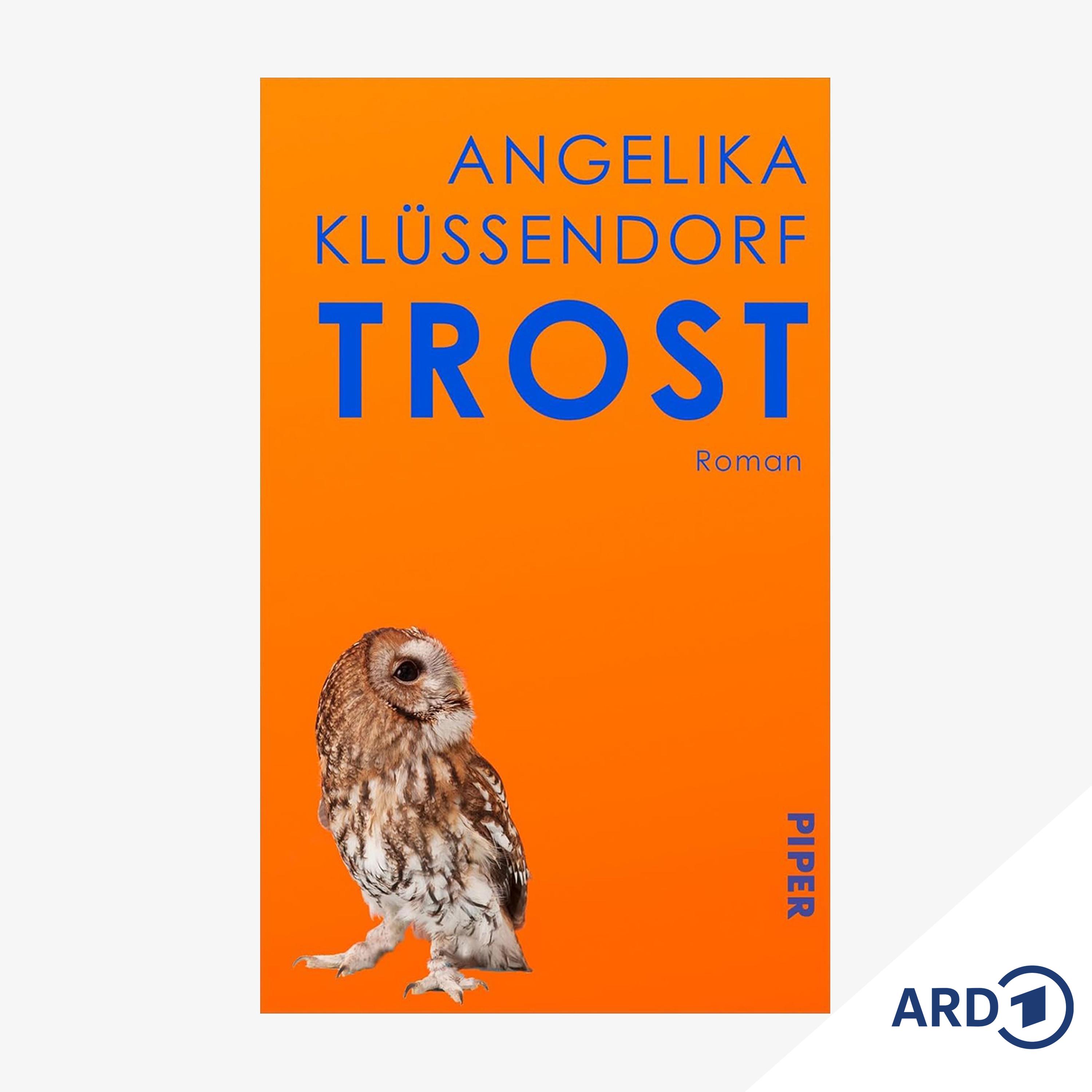 Neue Bücher: "Trost" von Angelika Klüssendorf episode artwork