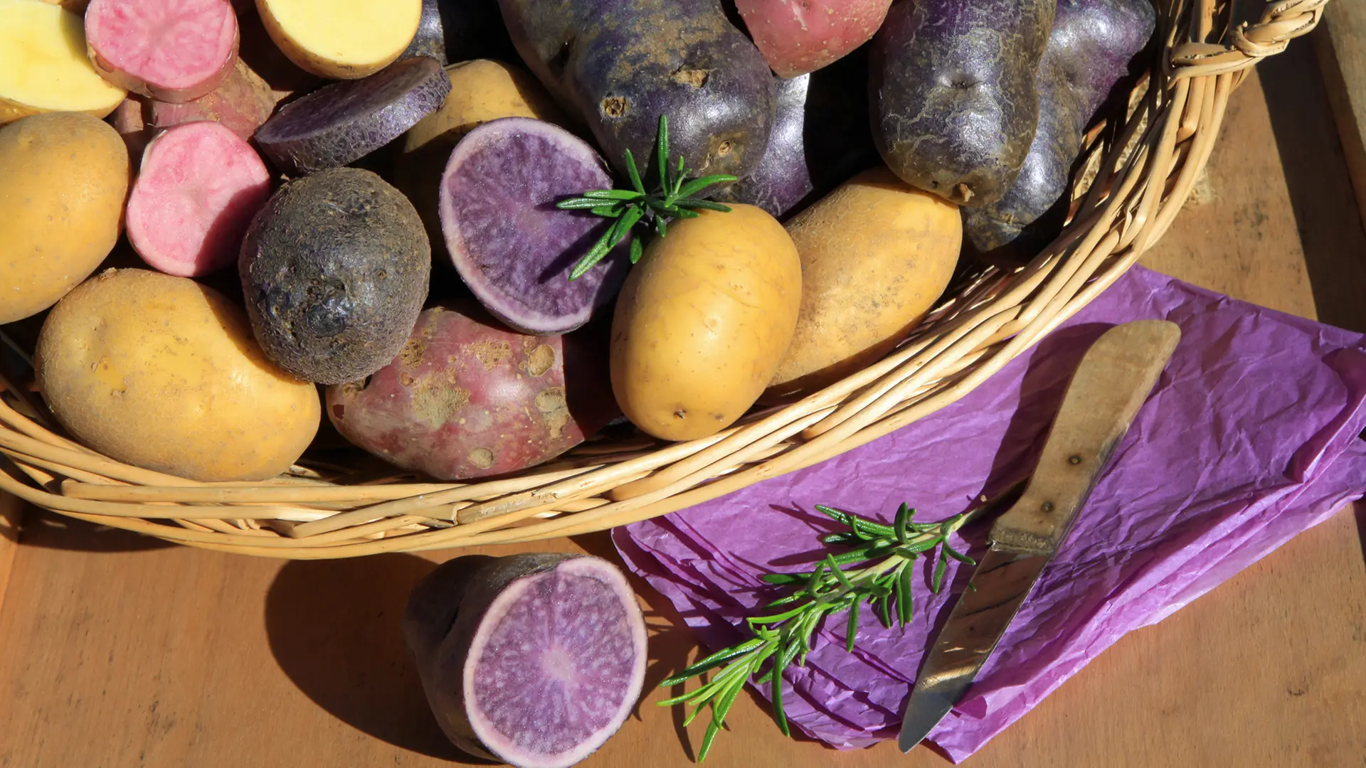 Alte Kartoffelsorten: So vielfltig und lecker sind sie | ndr.de