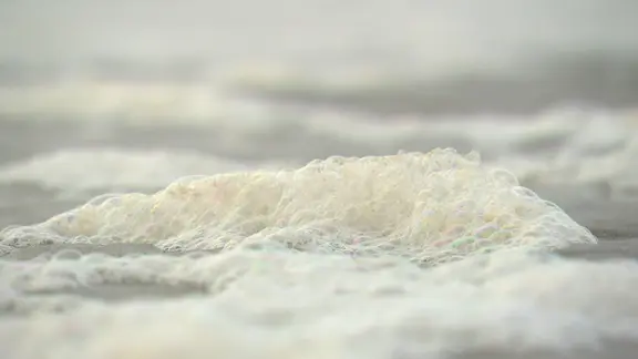 Angeschwemmter Meeresschaum in St. Peter Ording.