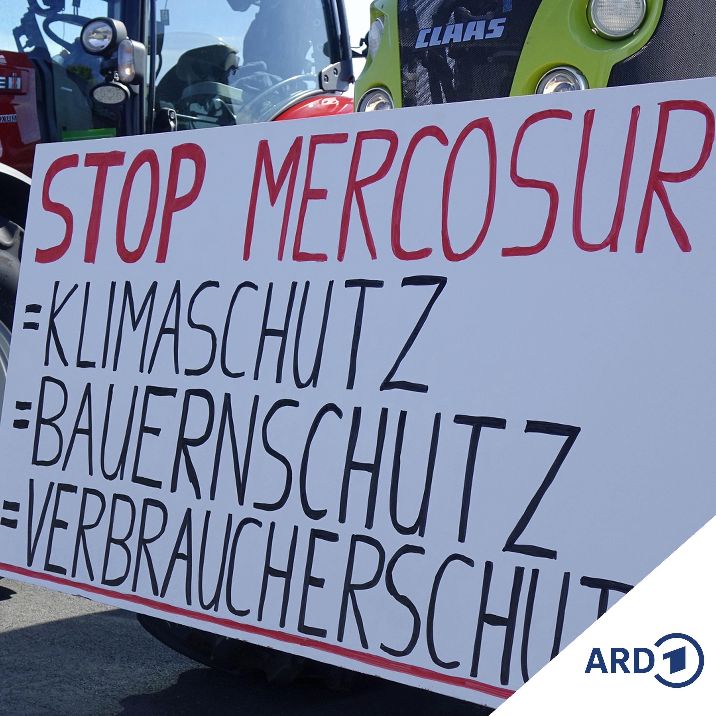 Mercosur-Abkommen: nach 25 Jahren auf der Zielgeraden episode artwork