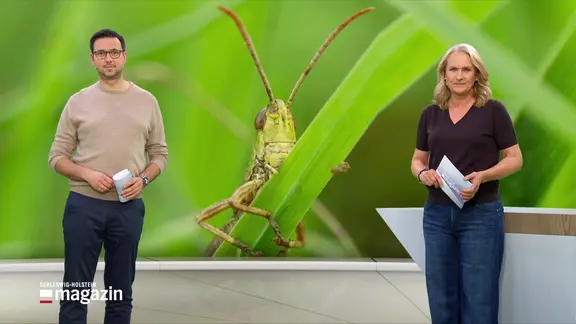 Harriet Heise und Christopher Scheffelmeier moderieren das Schleswig-Holstein Magazin.
