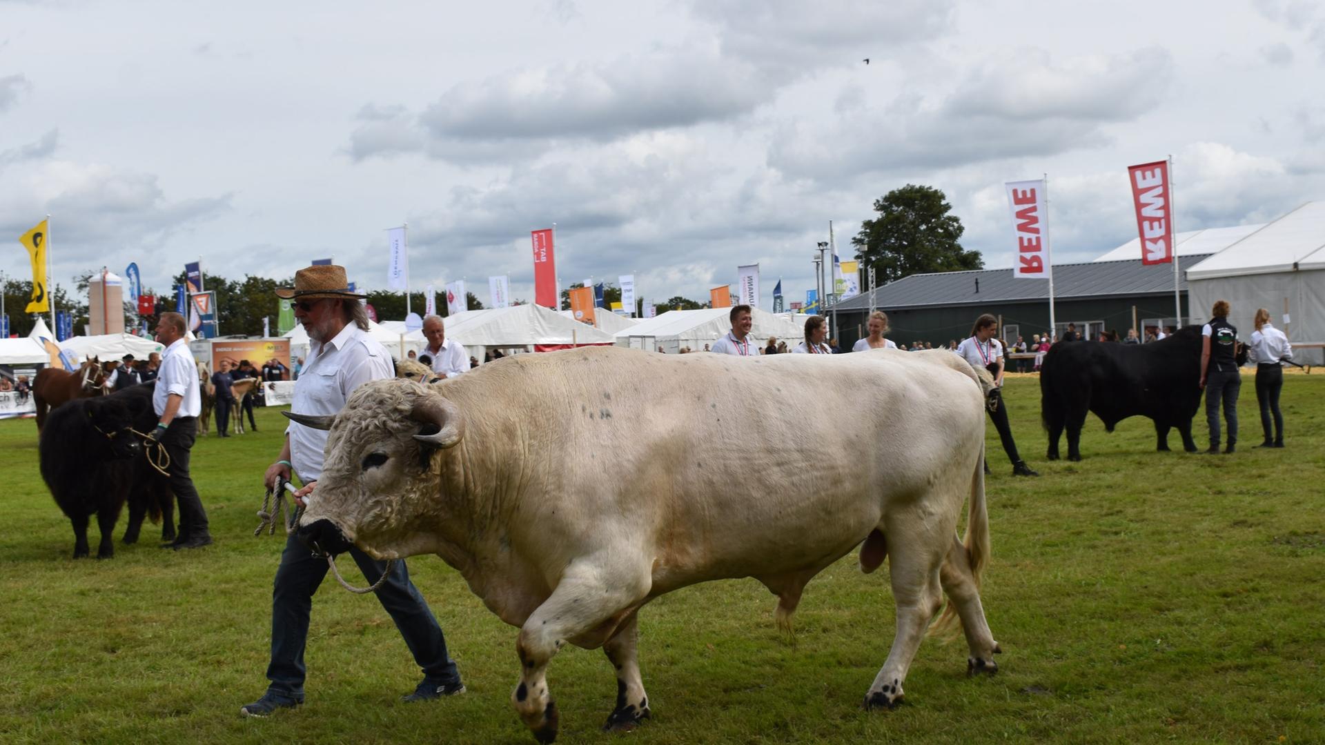 Norla 2025 in Rendsburg: 70.000 Menschen besuchen Landwirtschaftsmesse