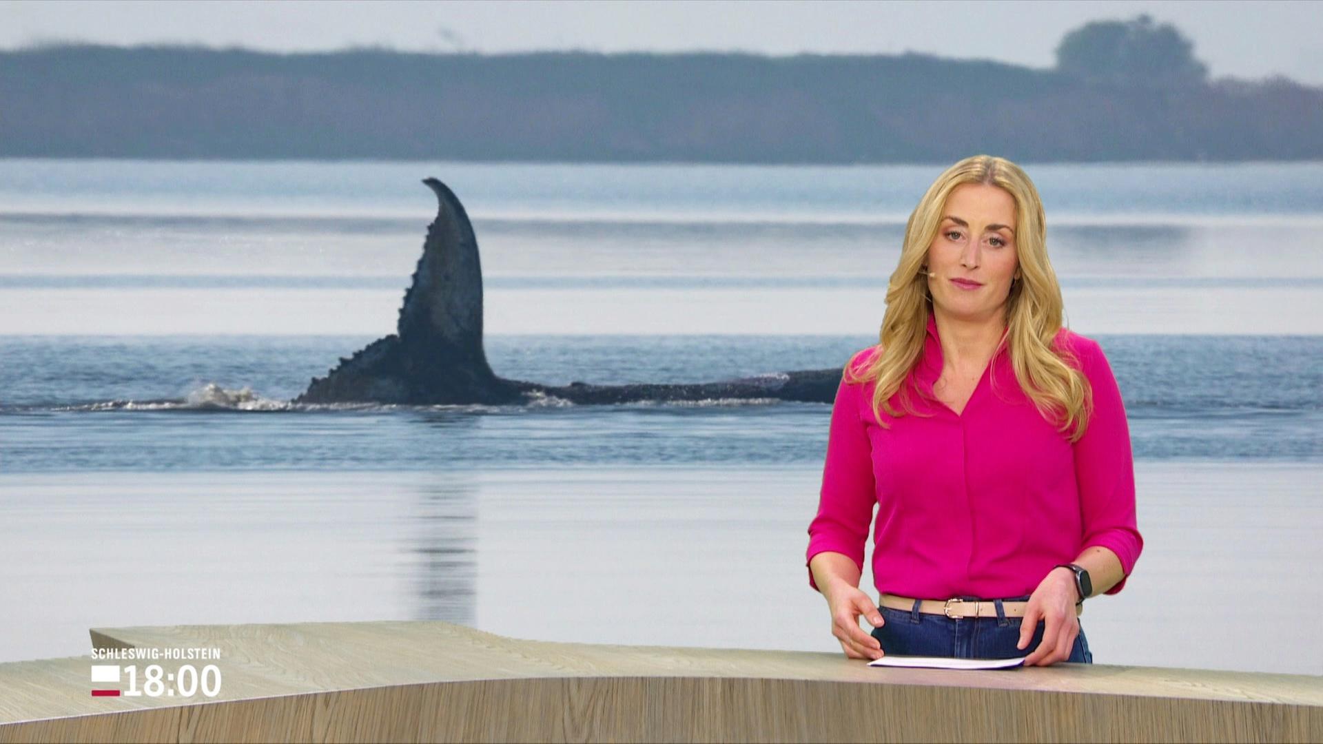 Lisa Knittel im Studio. | Screenshot