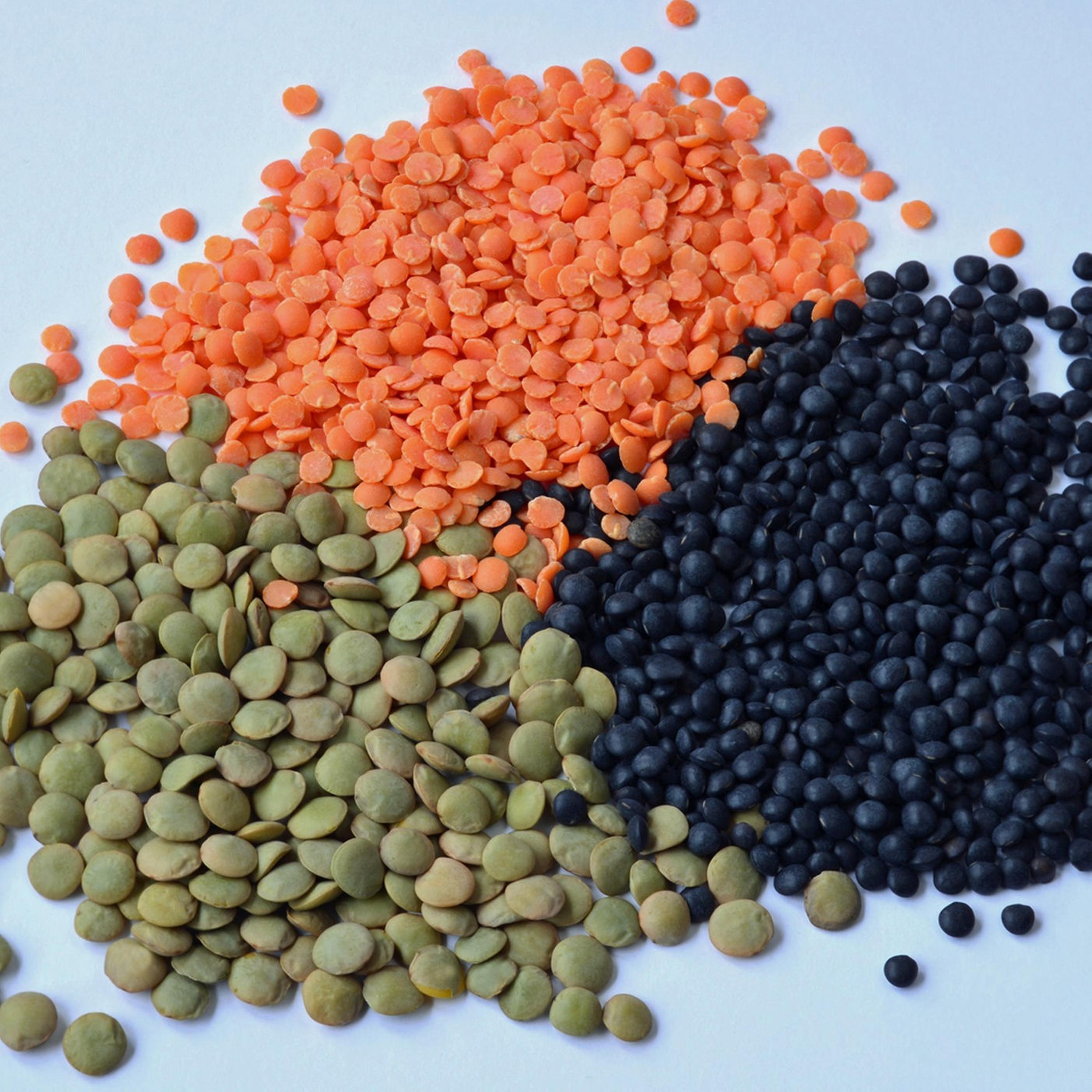 Synapsen – ein Wissenschaftspodcast