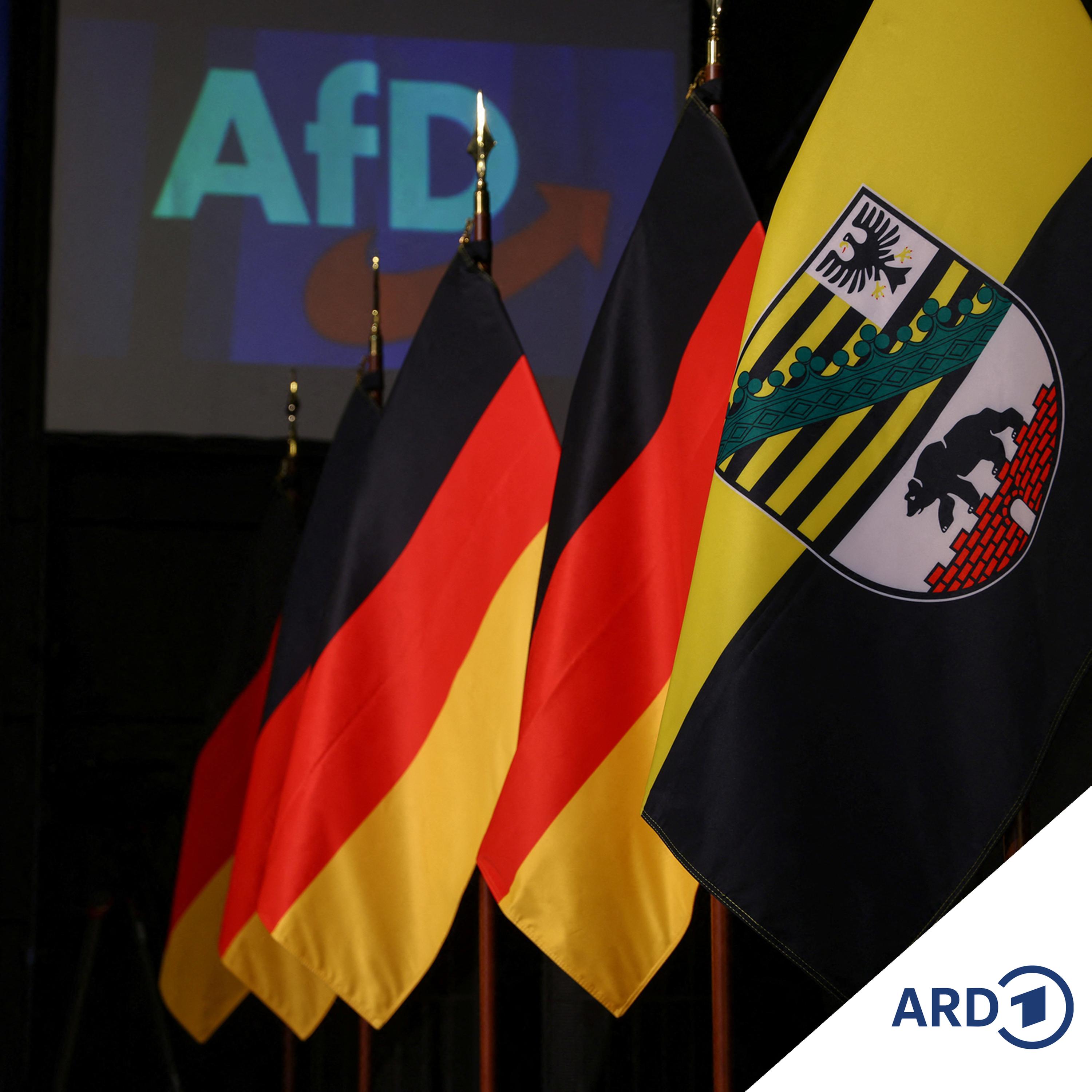 AfD-Sieg in Sachsen-Anhalt: Wie geht es jetzt weiter? episode artwork