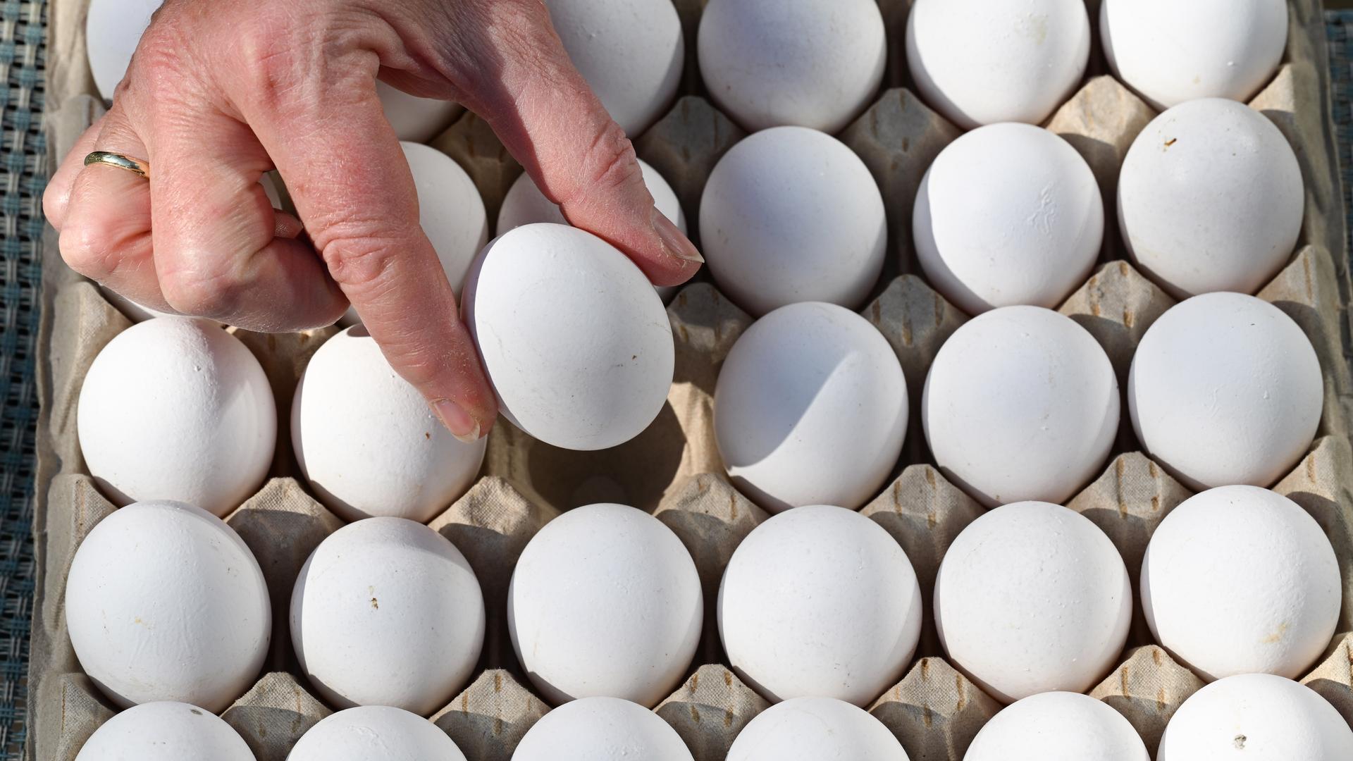 Eine Hand greift nach einem Ei in einer Packung. | picture alliance/dpa | Bernd Weißbrod
