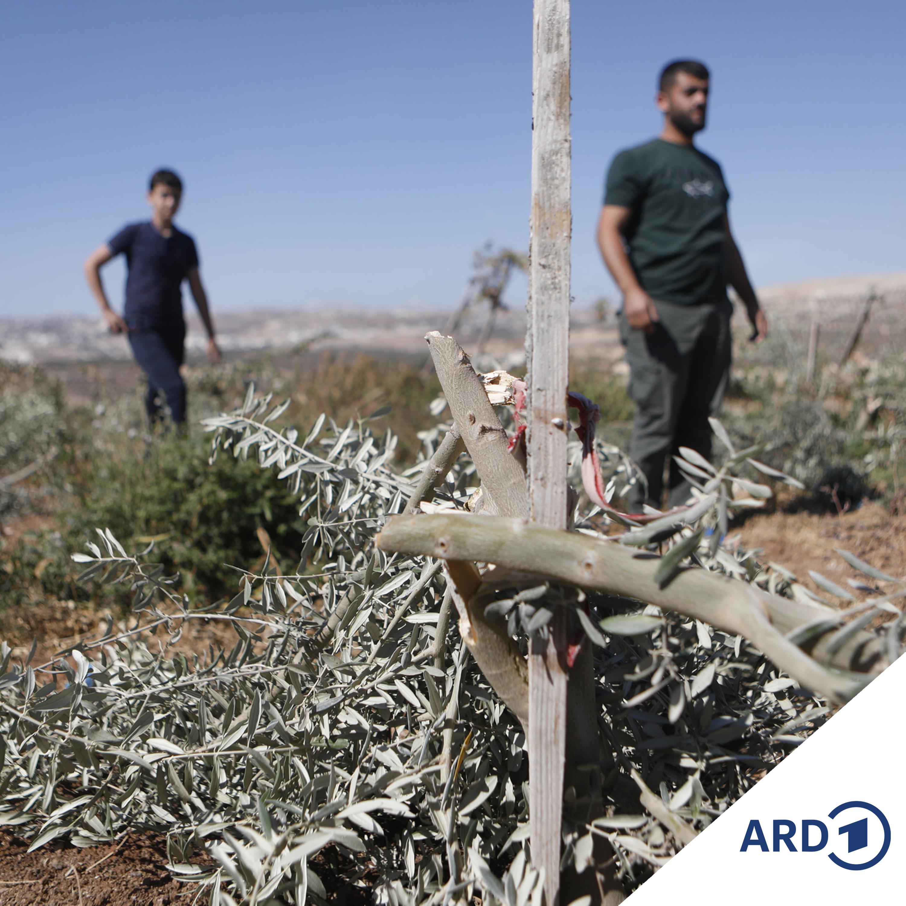 Israel: Drei palästinensische Kämpfer im Westjordanland getötet